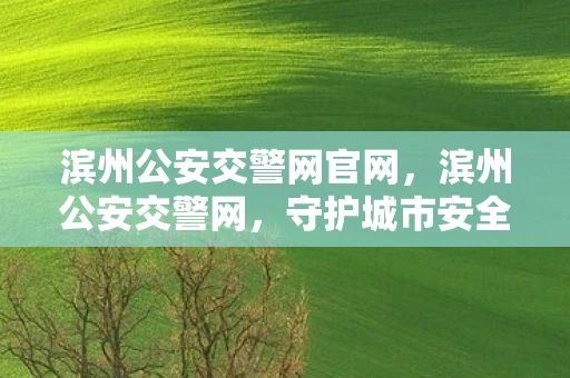 滨州公安交警网官网,滨州公安交警网,守护城市安全的交通卫士 滨州公安交警网官网,滨州公安交警网,守护城市安全的交通卫士