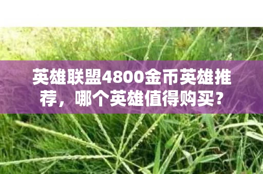 英雄联盟4800金币英雄推荐图片