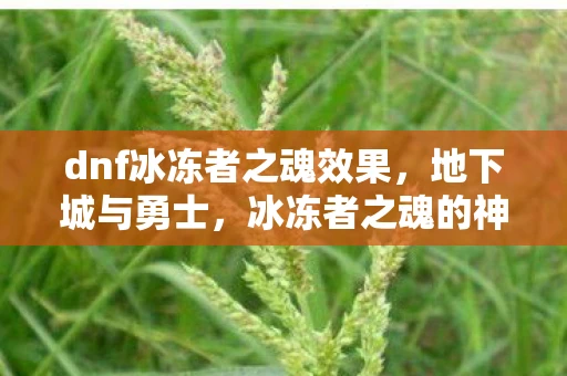 dnf冰冻者之魂效果，地下城与勇士，冰冻者之魂的神秘魅力