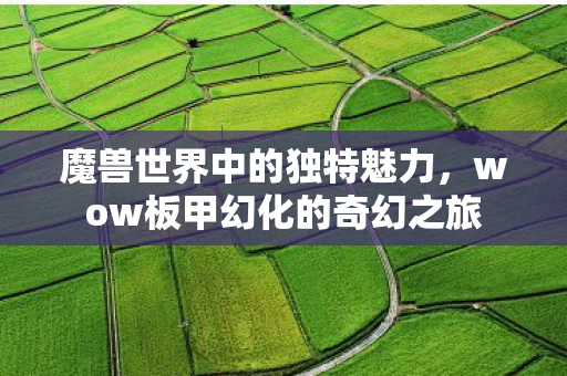 wow板甲幻化的奇幻之旅图片