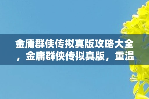 金庸群侠传拟真版攻略大全，金庸群侠传拟真版，重温武侠梦，探索江湖情