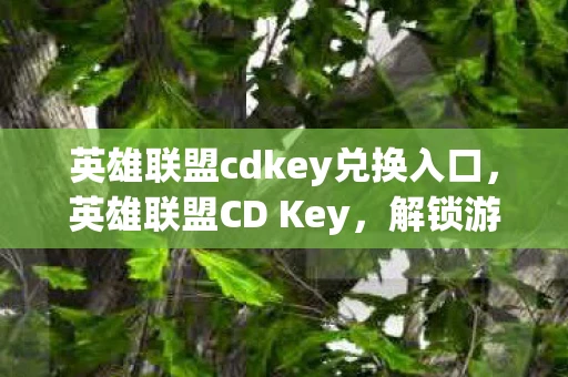 英雄联盟cdkey兑换入口，英雄联盟CD Key，解锁游戏世界的神秘钥匙