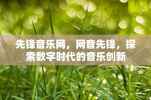 先锋音乐网,网音先锋,探索数字时代的音乐创新 先锋音乐网,网音先锋,探索数字时代的音乐创新