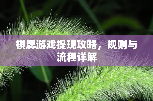 棋牌游戏提现攻略图片