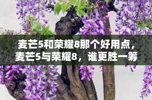 麦芒5和荣耀8那个好用点,麦芒5与荣耀8,谁更胜一筹? 麦芒5和荣耀8那个好用点,麦芒5与荣耀8,谁更胜一筹?