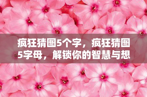 疯狂猜图5个字，疯狂猜图5字母，解锁你的智慧与想象力