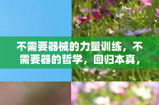 不需要器械的力量训练，不需要器的哲学，回归本真，追求内在价值