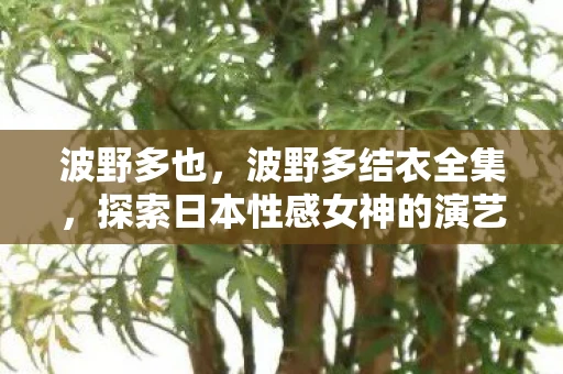 波野多也,波野多结衣全集,探索日本性感女神的演艺之路 波野多也,波野多结衣全集,探索日本性感女神的演艺之路