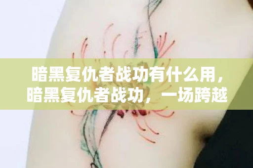 暗黑复仇者战功有什么用，暗黑复仇者战功，一场跨越时空的复仇之旅