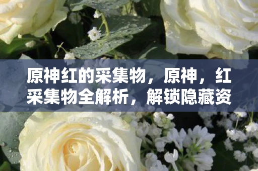 原神红的采集物，原神，红采集物全解析，解锁隐藏资源获取技巧