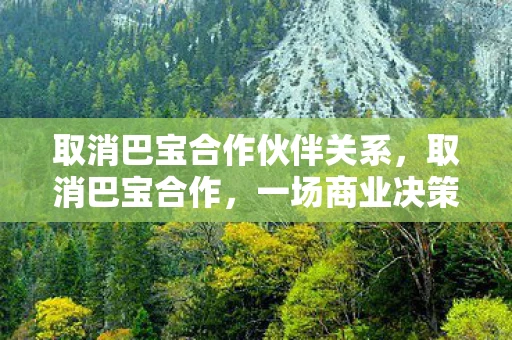 取消巴宝合作伙伴关系，取消巴宝合作，一场商业决策的深度剖析