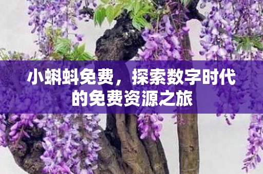 小蝌蚪免费，探索数字时代的免费资源之旅