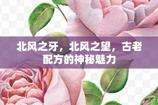 北风之牙,北风之望,古老配方的神秘魅力 北风之牙,北风之望,古老配方的神秘魅力