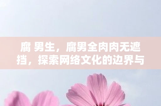 腐 男生,腐男全肉肉无遮挡,探索网络文化的边界与影响 腐 男生,腐男全肉肉无遮挡,探索网络文化的边界与影响