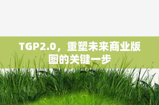 TGP2.0，重塑未来商业版图的关键一步