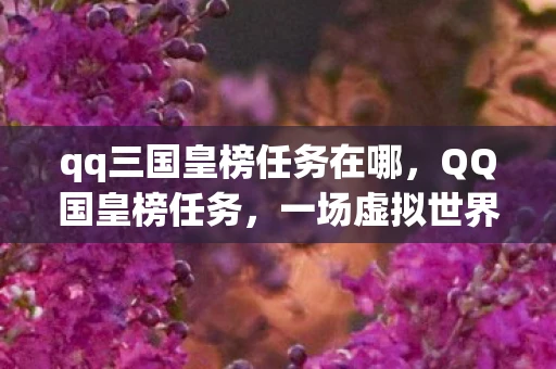 qq三国皇榜任务在哪，QQ国皇榜任务，一场虚拟世界的权力游戏