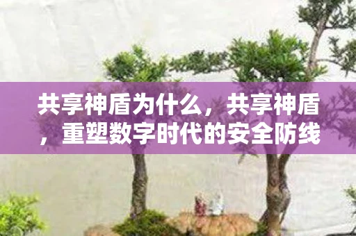 共享神盾为什么，共享神盾，重塑数字时代的安全防线