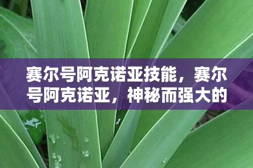赛尔号阿克诺亚技能,赛尔号阿克诺亚,神秘而强大的暗影系精灵 赛尔号阿克诺亚技能,赛尔号阿克诺亚,神秘而强大的暗影系精灵