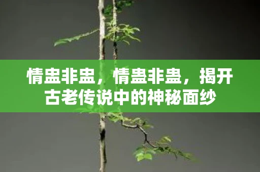 情盅非盅，情蛊非蛊，揭开古老传说中的神秘面纱