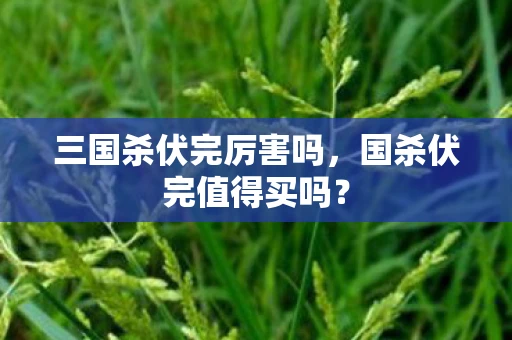 三国杀伏完厉害吗，国杀伏完值得买吗？