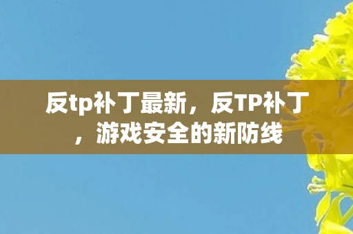 反tp补丁最新，反TP补丁，游戏安全的新防线