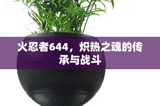 火忍者644，炽热之魂的传承与战斗