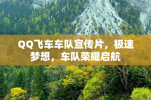 QQ飞车车队宣传片图片