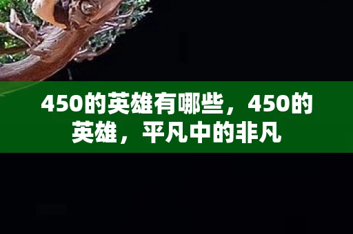 450的英雄有哪些，450的英雄，平凡中的非凡