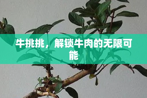 牛挑挑，解锁牛肉的无限可能