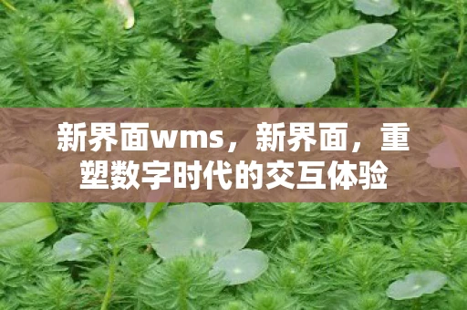 新界面wms，新界面，重塑数字时代的交互体验