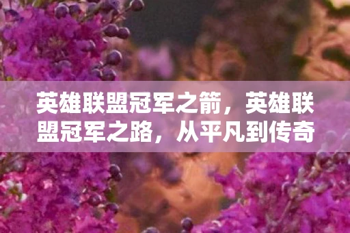 英雄联盟冠军之箭,英雄联盟冠军之路,从平凡到传奇的征程 英雄联盟冠军之箭,英雄联盟冠军之路,从平凡到传奇的征程