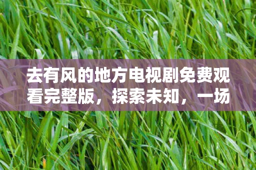 去有风的地方电视剧免费观看完整版,探索未知,一场说走就走的旅行 去有风的地方电视剧免费观看完整版,探索未知,一场说走就走的旅行