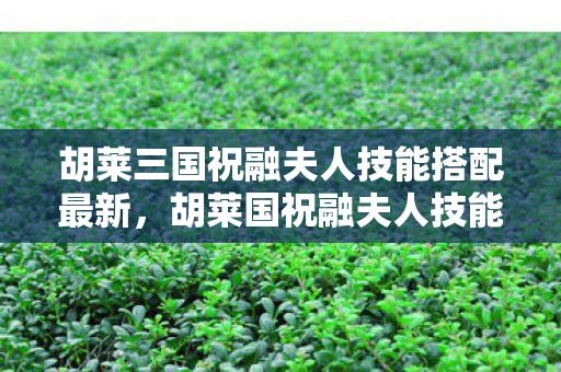 胡莱三国祝融夫人技能搭配最新,胡莱国祝融夫人技能搭配攻略 胡莱三国祝融夫人技能搭配最新,胡莱国祝融夫人技能搭配攻略