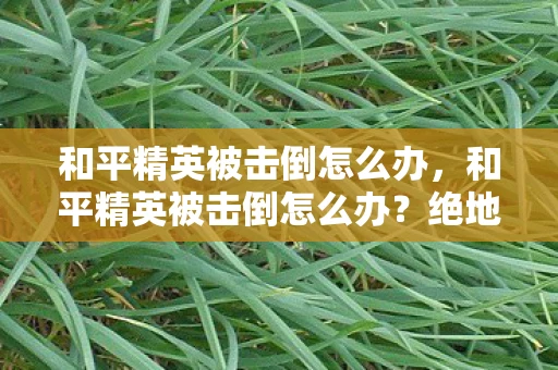 和平精英被击倒怎么办，和平精英被击倒怎么办？绝地求生技巧大揭秘