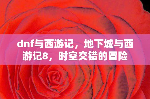 dnf与西游记,地下城与西游记8,时空交错的冒险 dnf与西游记,地下城与西游记8,时空交错的冒险
