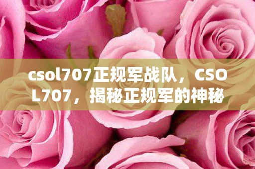 csol707正规军战队，CSOL707，揭秘正规军的神秘面纱