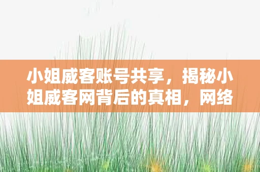 小姐威客账号共享，揭秘小姐威客网背后的真相，网络阴影下的灰色产业