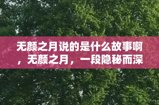 无颜之月说的是什么故事啊，无颜之月，一段隐秘而深邃的情感探索