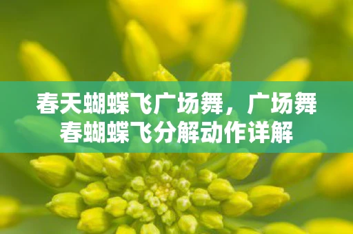 春天蝴蝶飞广场舞，广场舞春蝴蝶飞分解动作详解