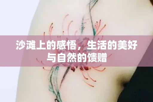 沙滩上的感悟，生活的美好与自然的馈赠