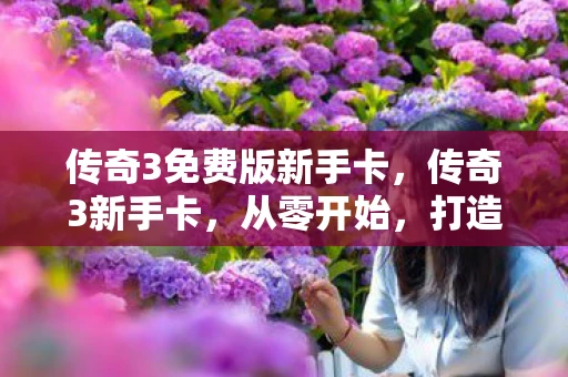 传奇3免费版新手卡,传奇3新手卡,从零开始,打造你的传奇之路 传奇3免费版新手卡,传奇3新手卡,从零开始,打造你的传奇之路