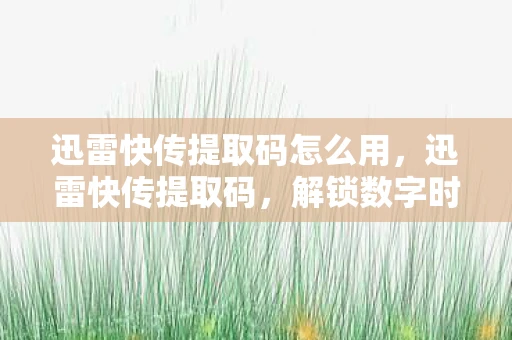 迅雷快传提取码怎么用，迅雷快传提取码，解锁数字时代资源分享的新方式