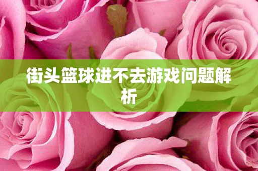 街头篮球进不去游戏问题解析图片