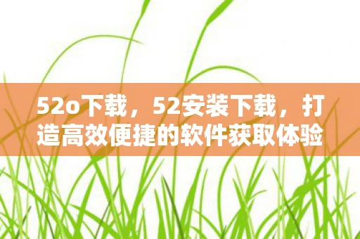 52o下载，52安装下载，打造高效便捷的软件获取体验