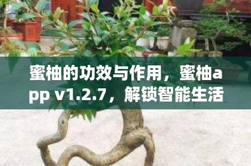 蜜柚的功效与作用，蜜柚app v1.2.7，解锁智能生活的全新方式