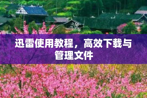 高效下载与管理文件图片
