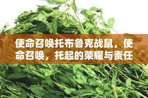 使命召唤托布鲁克战鼠，使命召唤，托起的荣耀与责任