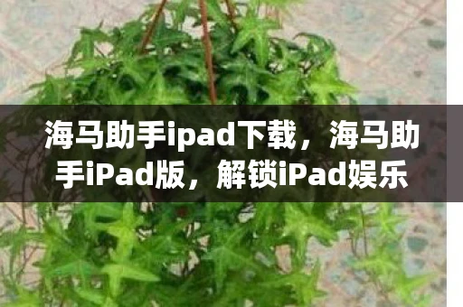 海马助手ipad下载,海马助手iPad版,解锁iPad娱乐新体验 海马助手ipad下载,海马助手iPad版,解锁iPad娱乐新体验