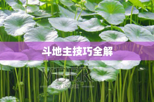 斗地主技巧全解 斗地主技巧全解