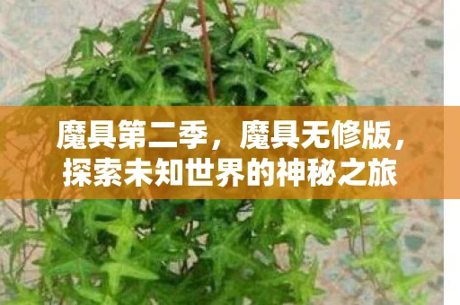 魔具第二季，魔具无修版，探索未知世界的神秘之旅